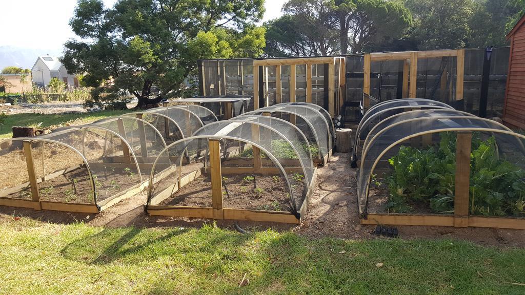 Tuckaway Villa Somerset West Kültér fotó